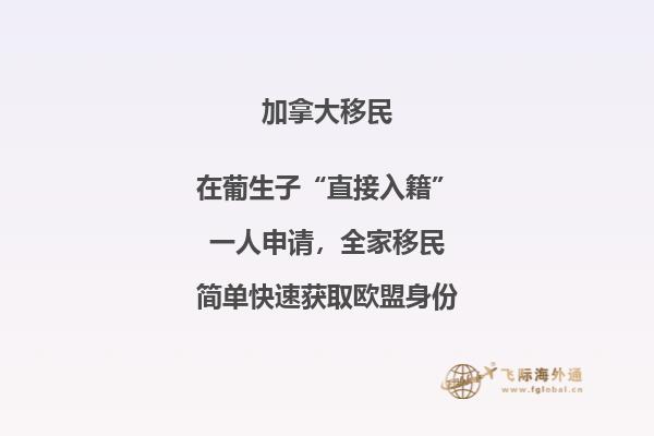 加拿大聯(lián)邦技術(shù)移民費用！與投資移民相比，竟然這要這么點！