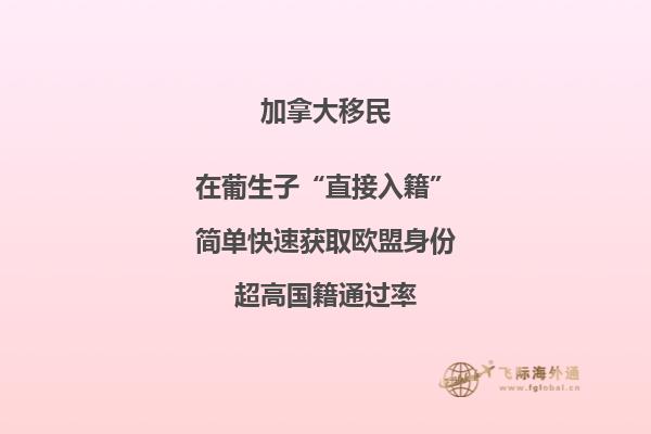 加拿大移民政策解讀，加拿大BC省雇主移民利好來(lái)襲!