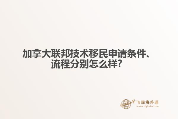 加拿大聯(lián)邦技術(shù)移民申請條件、流程分別怎么樣？