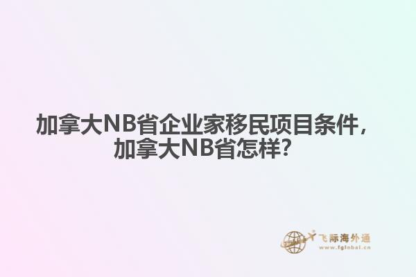 加拿大NB省企業(yè)家移民項目條件，加拿大NB省怎樣？