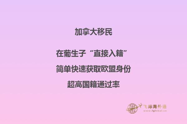 加拿大魁省投資移民需要多少錢，移民政策是什么？