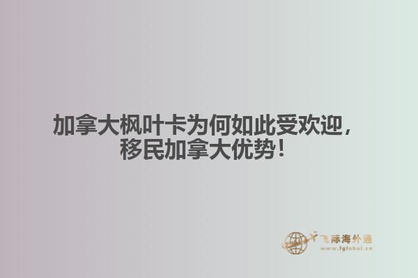 加拿大楓葉卡為何如此受歡迎，移民加拿大優(yōu)勢！