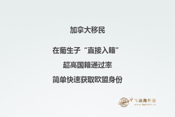 加拿大投資移民有幾種，你適合哪一種?