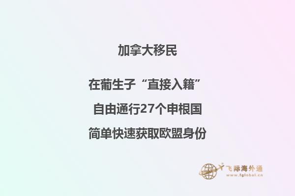加拿大移民文化的影響，如何移民加拿大？