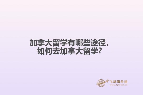 加拿大留學(xué)有哪些途徑，如何去加拿大留學(xué)？