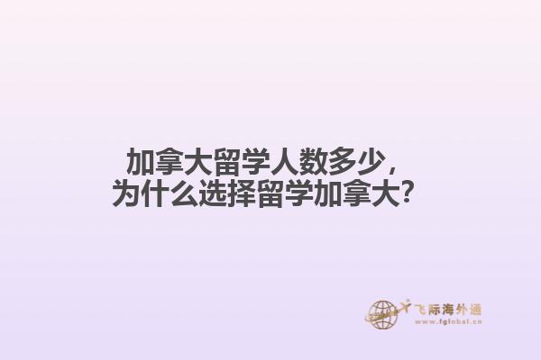 加拿大留學(xué)人數(shù)多少，為什么選擇留學(xué)加拿大？