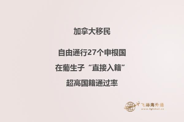 加拿大留學(xué)移民專業(yè)選什么，優(yōu)先選擇以下專業(yè)！