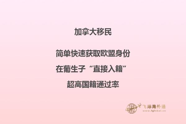 加拿大安省留學移民條件，流程怎么樣？
