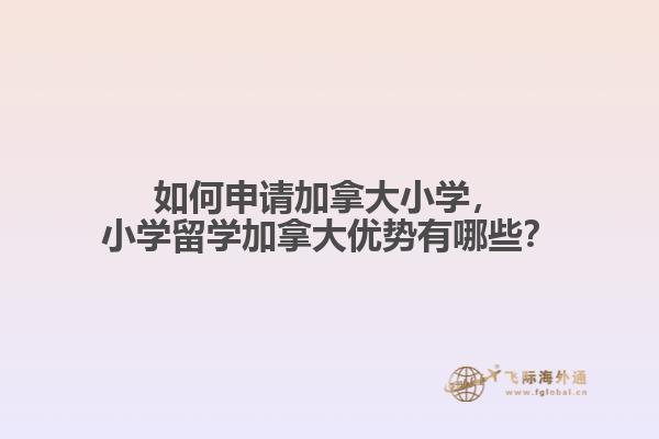 如何申請(qǐng)加拿大小學(xué)，小學(xué)留學(xué)加拿大優(yōu)勢(shì)有哪些？