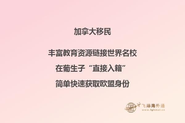 加拿大魁省投資移民方式有哪些，三種方式任你選擇！