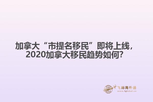 加拿大“市提名移民”即將上線，2020加拿大移民趨勢如何？
