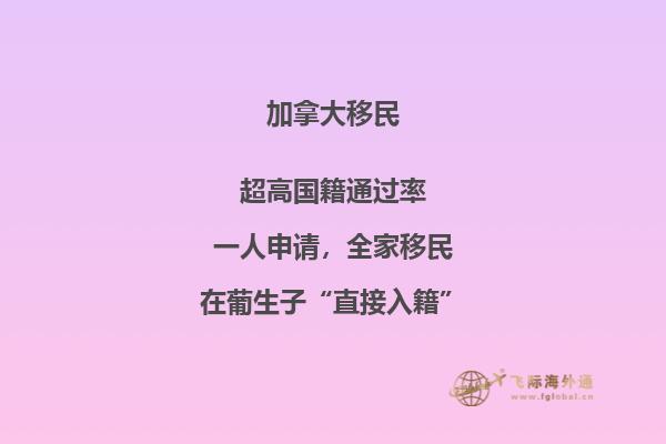 加拿大“市提名移民”即將上線，2020加拿大移民趨勢如何？

