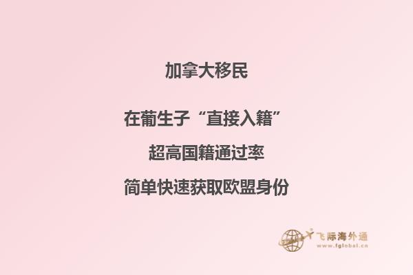 2020加拿大魁省移民政策分析，對你有哪些影響？
