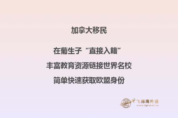 加拿大投資移民風(fēng)險匯總，要避開哪些陷阱？ 
