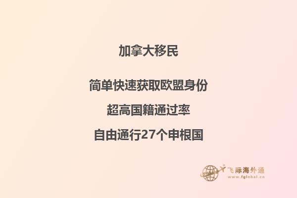 2020年高考生申請加拿大留學(xué)項(xiàng)目有哪幾種路線？