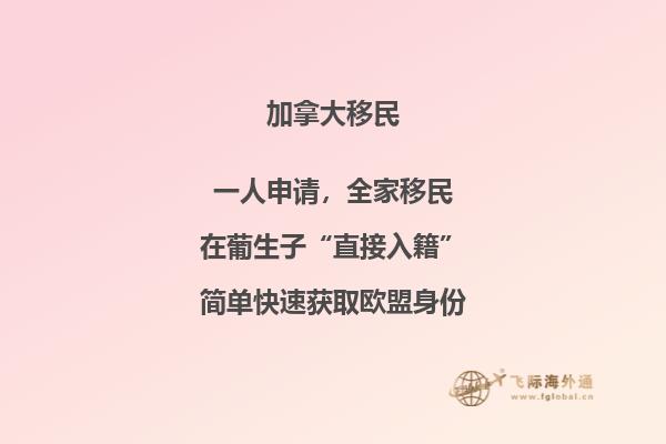 選擇溫哥華還是多倫多，移民加拿大華人更愛哪個？