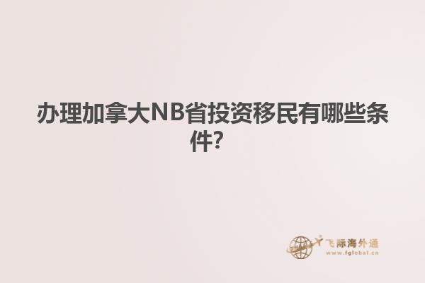 辦理加拿大NB省投資移民有哪些條件？