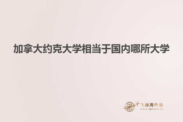 加拿大約克大學(xué)相當于國內(nèi)哪所大學(xué)