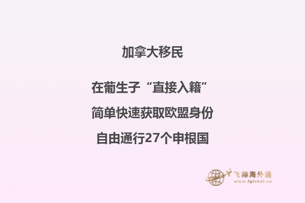 加拿大紐芬蘭省無雇主技術(shù)移民項目——詳解