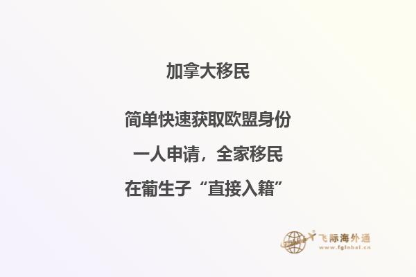 加拿大SUV移民條件，暢享加國自由與豪華！