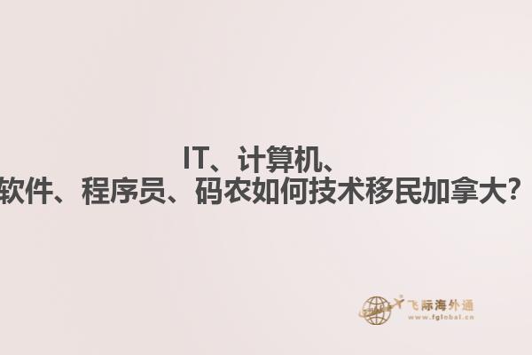 IT、計算機、軟件、程序員、碼農(nóng)如何技術移民加拿大？