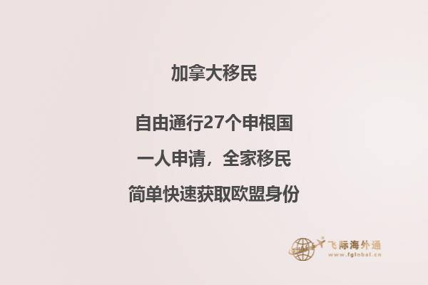 IT、計算機、軟件、程序員、碼農(nóng)如何技術移民加拿大？