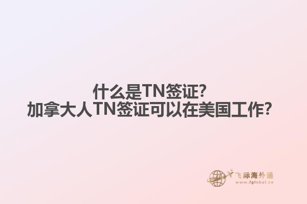什么是TN簽證？加拿大人TN簽證可以在美國(guó)工作？