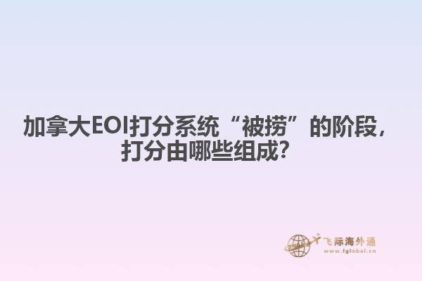 加拿大EOI打分系統“被撈”的階段，打分由哪些組成？