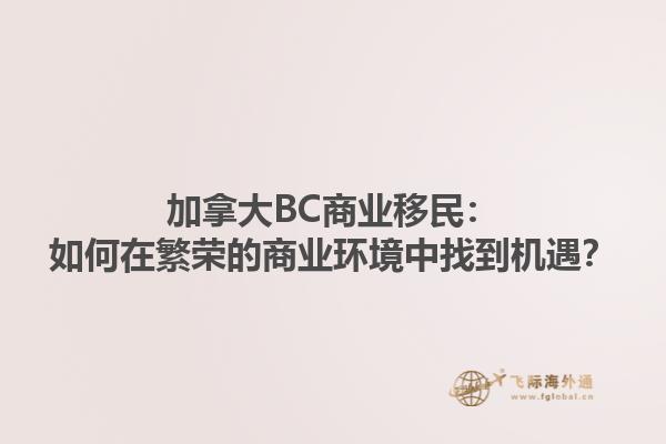 加拿大BC商業(yè)移民：如何在繁榮的商業(yè)環(huán)境中找到機(jī)遇？