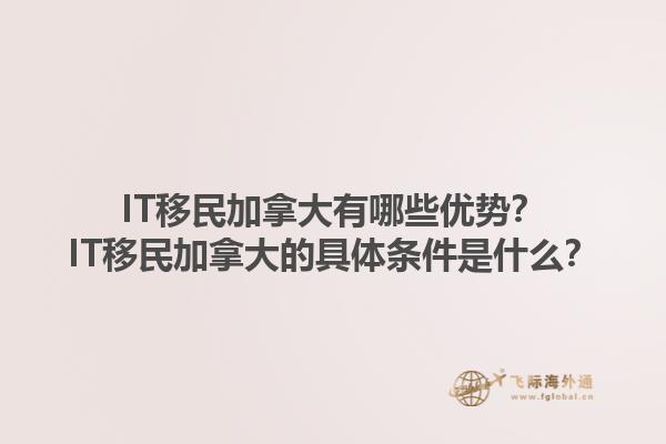 IT移民加拿大有哪些優(yōu)勢(shì)？IT移民加拿大的具體條件是什么？