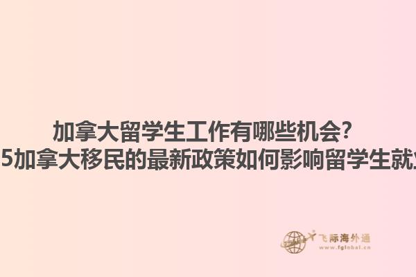 加拿大留學(xué)生工作有哪些機(jī)會(huì)？2025加拿大移民的最新政策如何影響留學(xué)生就業(yè)？