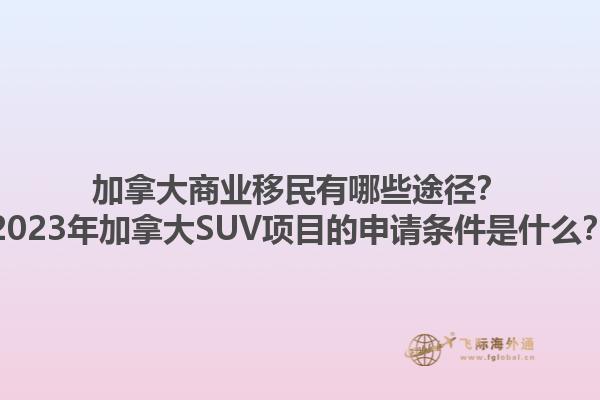 加拿大商業(yè)移民有哪些途徑？2023年加拿大SUV項(xiàng)目的申請條件是什么？