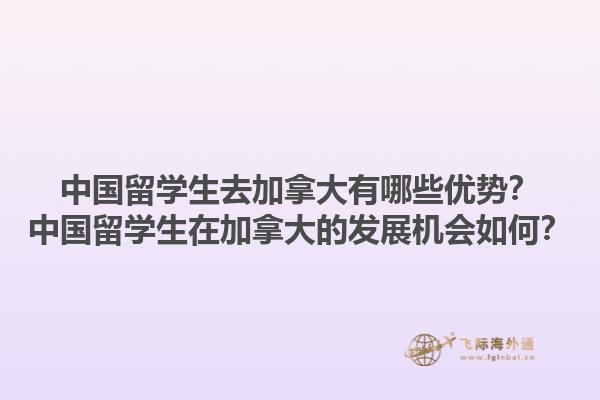中國(guó)留學(xué)生去加拿大有哪些優(yōu)勢(shì)？中國(guó)留學(xué)生在加拿大的發(fā)展機(jī)會(huì)如何？1.jpg