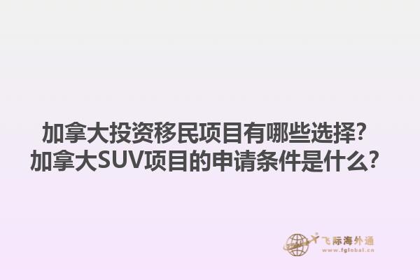 加拿大投資移民項(xiàng)目有哪些選擇？加拿大SUV項(xiàng)目的申請條件是什么？
