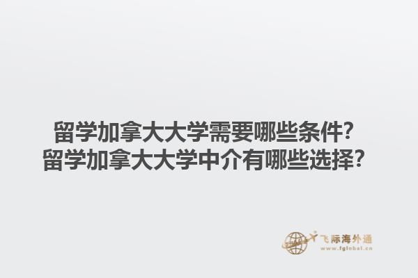 留學(xué)加拿大大學(xué)需要哪些條件？留學(xué)加拿大大學(xué)中介有哪些選擇？