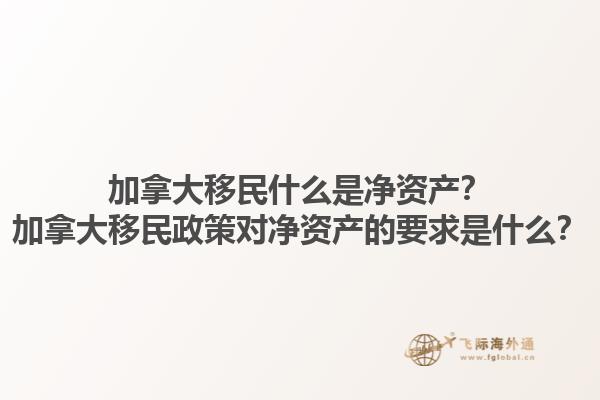 加拿大移民什么是凈資產(chǎn)？加拿大移民政策對(duì)凈資產(chǎn)的要求是什么？1.jpg