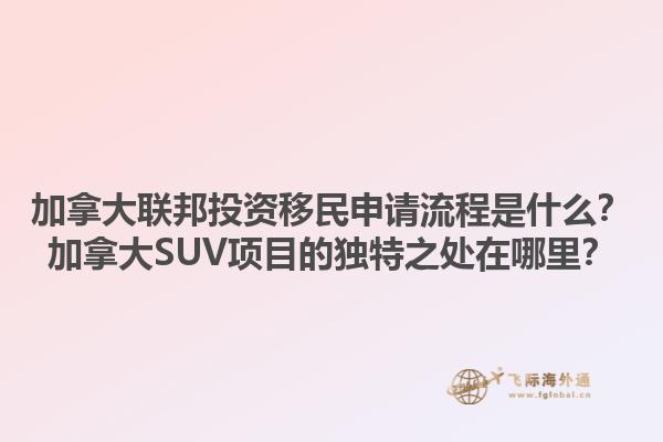加拿大聯(lián)邦投資移民申請流程是什么？加拿大SUV項目的獨特之處在哪里？