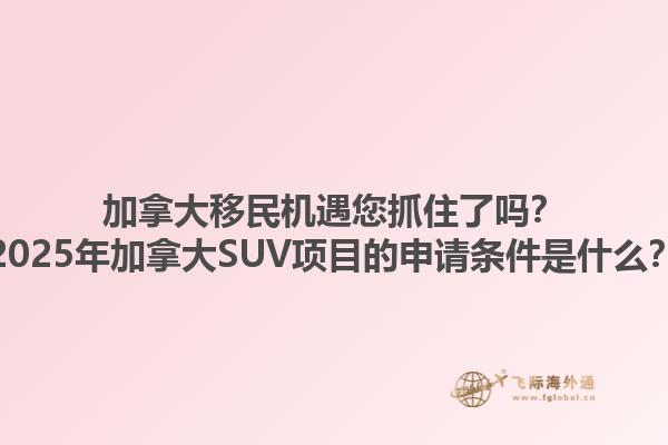 加拿大移民機遇您抓住了嗎？2025年加拿大SUV項目的申請條件是什么？