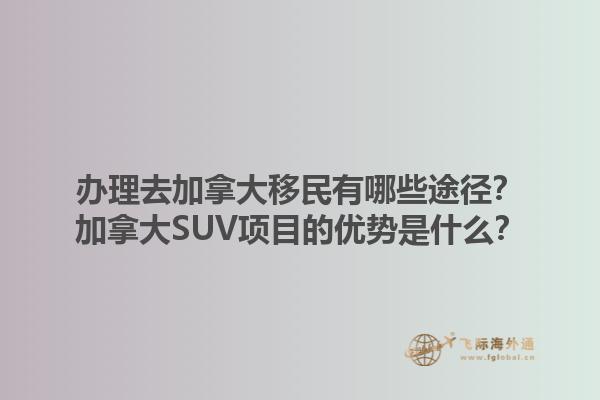 辦理去加拿大移民有哪些途徑？加拿大SUV項目的優(yōu)勢是什么？