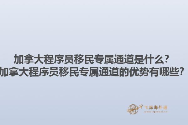 加拿大程序員移民專屬通道是什么？加拿大程序員移民專屬通道的優(yōu)勢有哪些？1.jpg