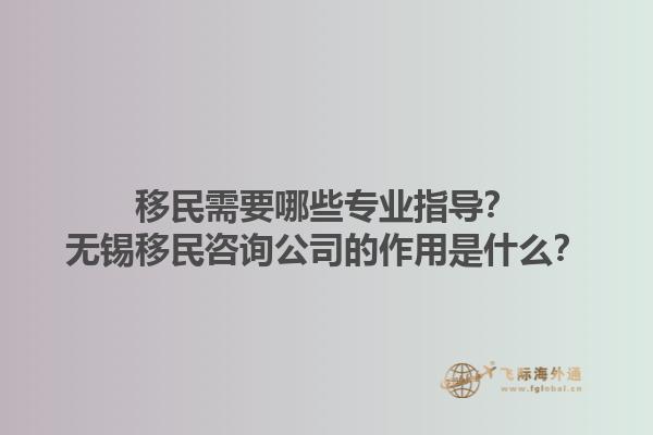 移民需要哪些專業(yè)指導(dǎo)？無錫移民咨詢公司的作用是什么？1.jpg