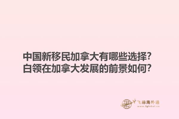中國(guó)新移民加拿大有哪些選擇？白領(lǐng)在加拿大發(fā)展的前景如何？1.jpg