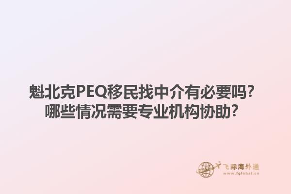 魁北克PEQ移民找中介有必要嗎？哪些情況需要專業(yè)機構協(xié)助？1.jpg