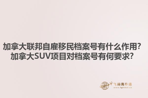 加拿大聯(lián)邦自雇移民檔案號有什么作用？加拿大SUV項(xiàng)目對檔案號有何要求？1.jpg