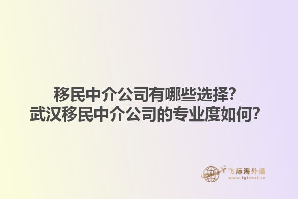移民中介公司有哪些選擇？武漢移民中介公司的專業(yè)度如何？1.jpg
