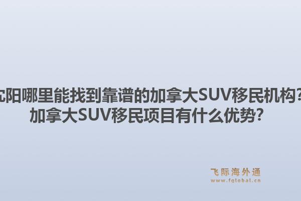 沈陽哪里能找到靠譜的加拿大SUV移民機構(gòu)？加拿大SUV移民項目有什么優(yōu)勢？1.jpg