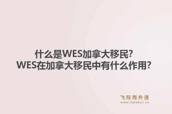 什么是WES加拿大移民？WES在加拿大移民中有什么作用？1.jpg