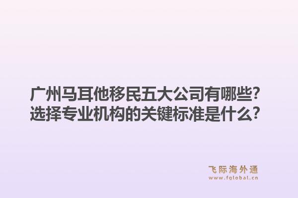 廣州馬耳他移民五大公司有哪些？選擇專業(yè)機(jī)構(gòu)的關(guān)鍵標(biāo)準(zhǔn)是什么？1.jpg