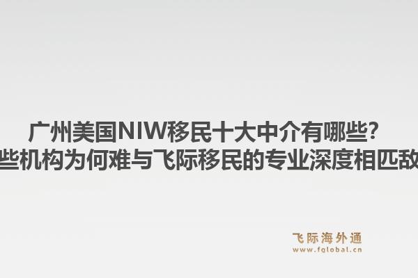 廣州美國NIW移民十大中介有哪些？這些機構(gòu)為何難與飛際移民的專業(yè)深度相匹敵？1.jpg